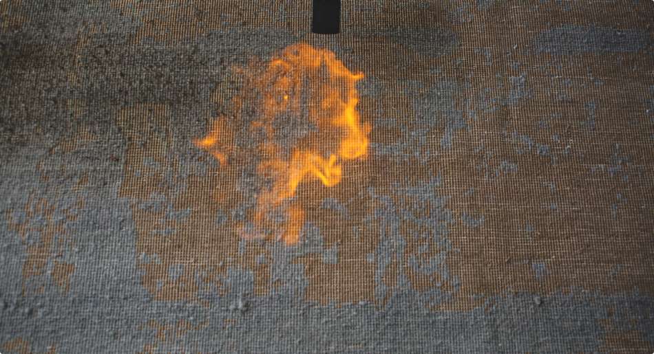 Back Burning